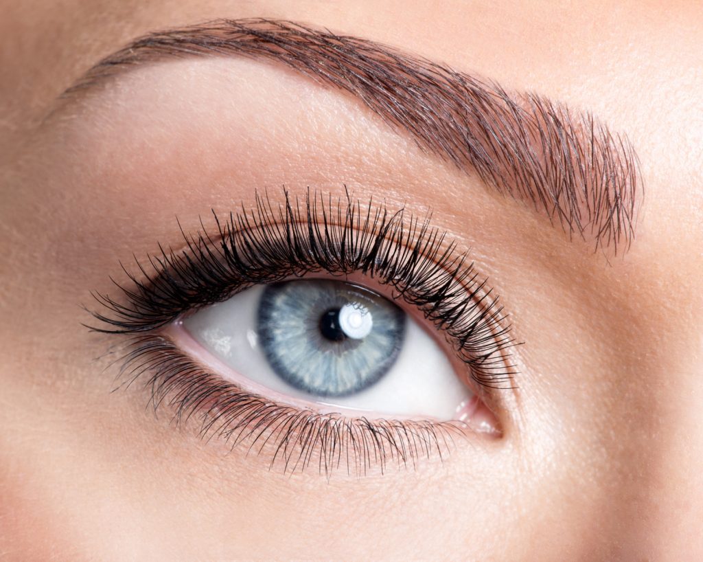 Beauty female blue eye with curl long false eyelashes - macro shot over white background